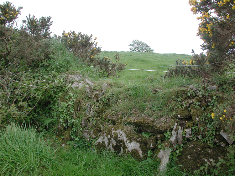 Boulteen F8.jpg 500.7K